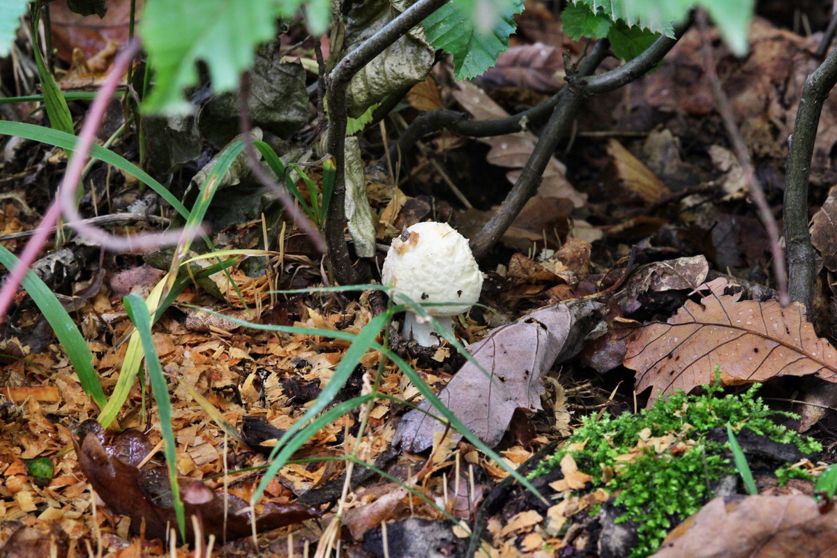 2013_09_27_00031550p_Bildgr��e �ndern