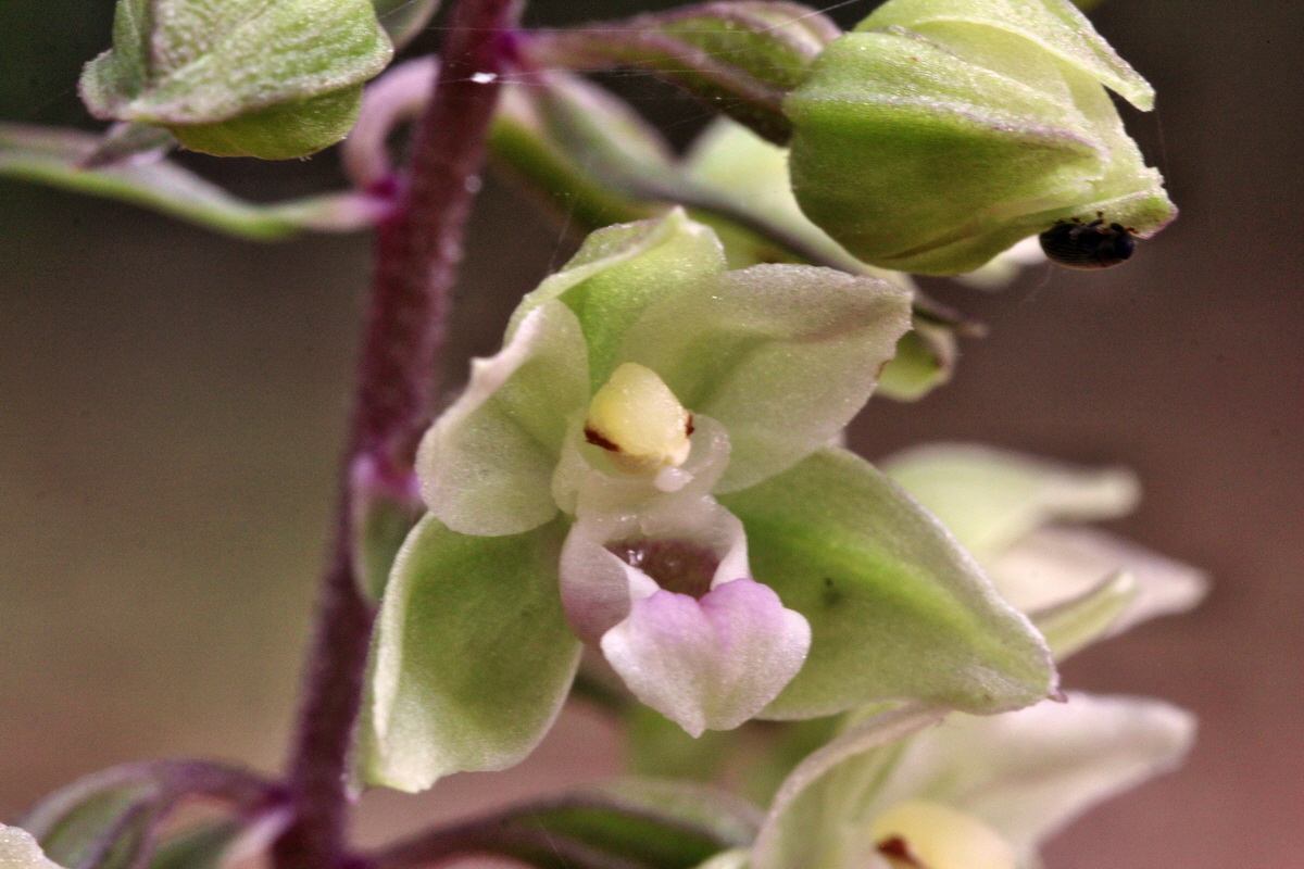 2013_08_09_00028281p_Bildgr��e �ndern