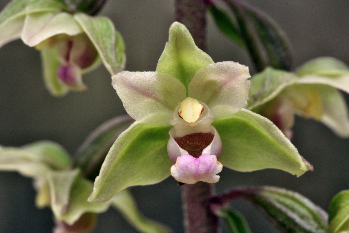 2013_08_09_00028289p_Bildgr��e �ndern