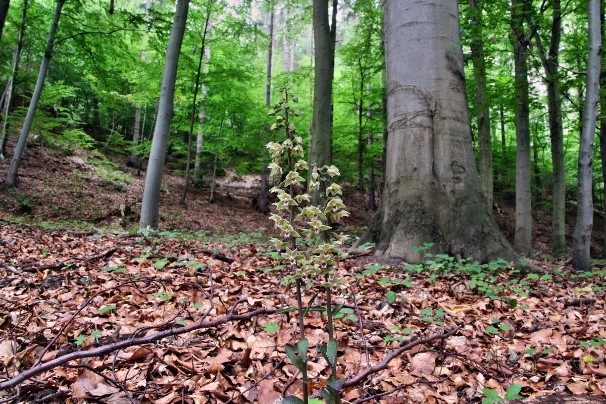 2013_08_09_00028290p_Bildgr��e �ndern