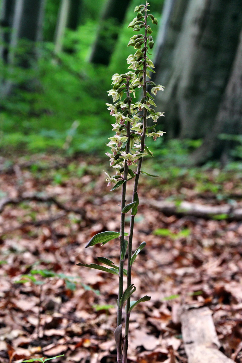 2013_08_09_00028295p_Bildgr��e �ndern