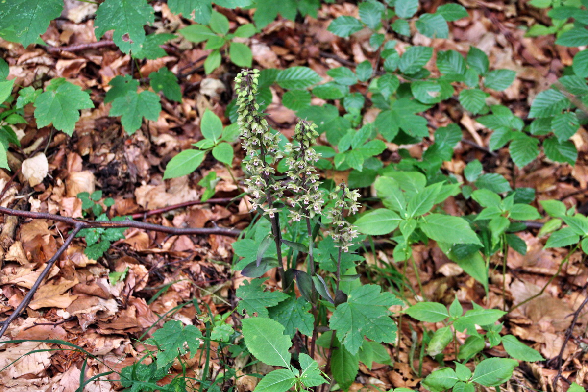 2013_08_09_00028317p_Bildgr��e �ndern