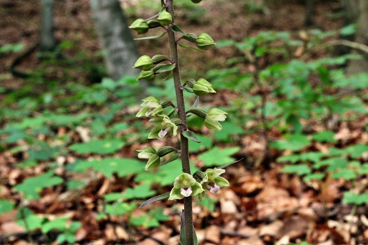 2013_08_09_00028327p_Bildgr��e �ndern