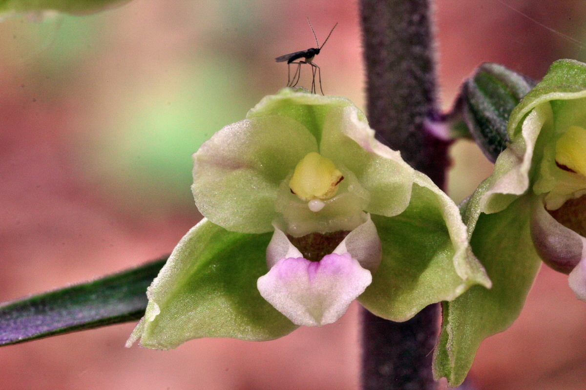 2013_08_09_00028332p_Bildgr��e �ndern