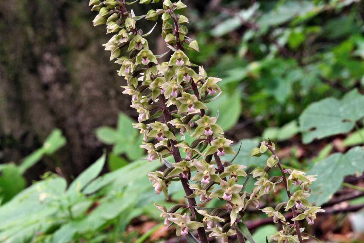 2013_08_09_00028334p_Bildgr��e �ndern