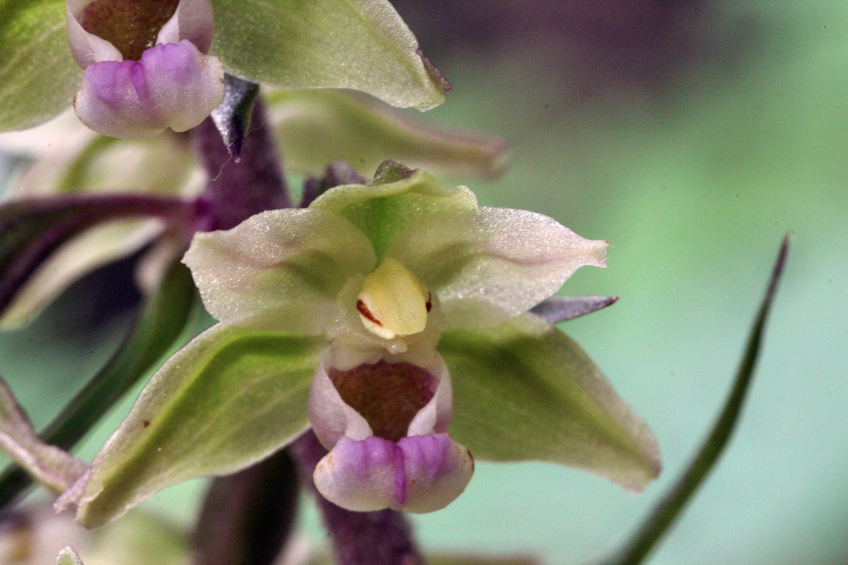 2013_08_09_00028339p_Bildgr��e �ndern