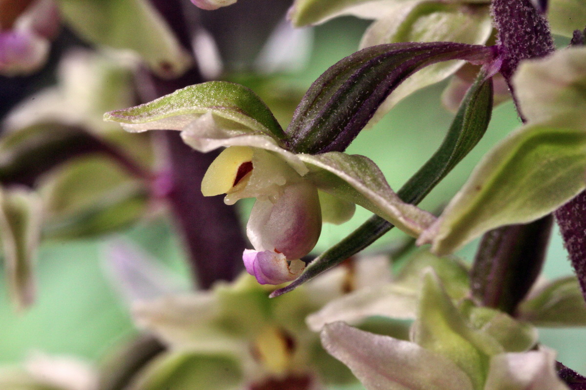 2013_08_09_00028341p_Bildgr��e �ndern