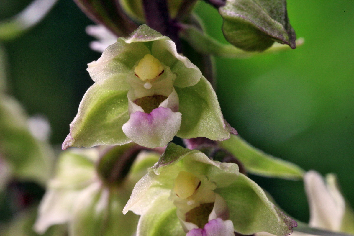 2013_08_09_00028346p_Bildgr��e �ndern