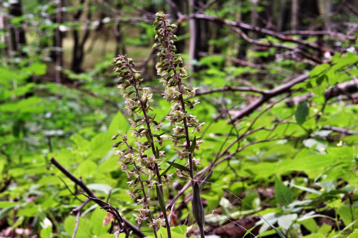 2013_08_09_00028348p_Bildgr��e �ndern