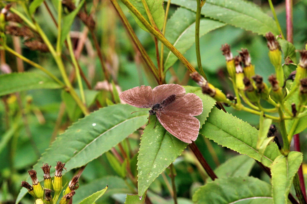 2013_08_09_00028350p_Bildgr��e �ndern