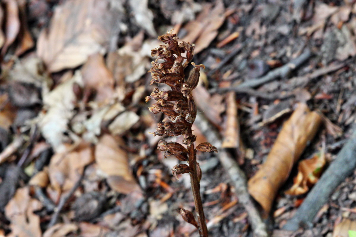 2013_08_10_00028388p_Bildgr��e �ndern