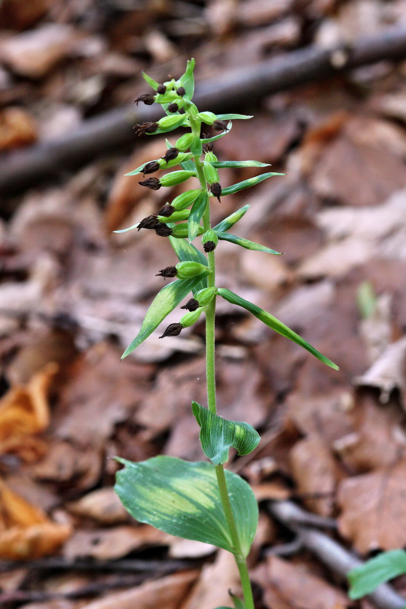 2013_08_10_00028394p_Bildgr��e �ndern