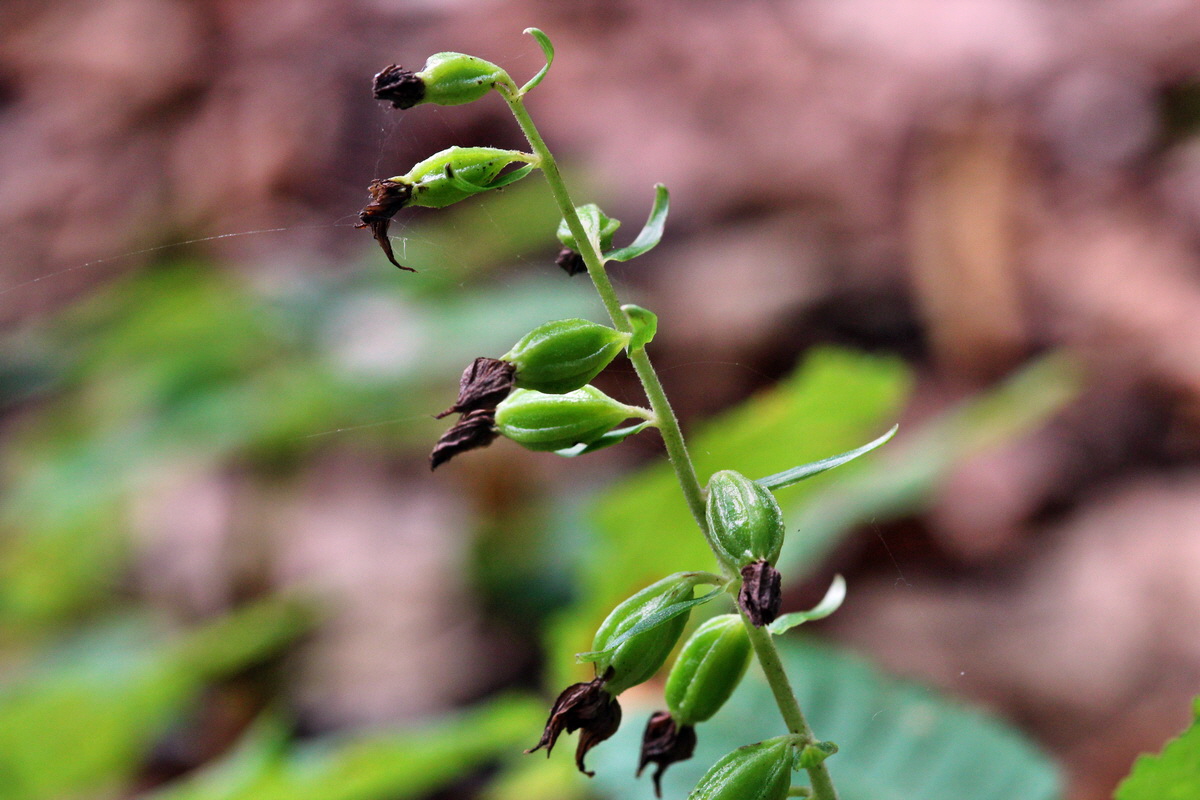 2013_08_10_00028404p_Bildgr��e �ndern