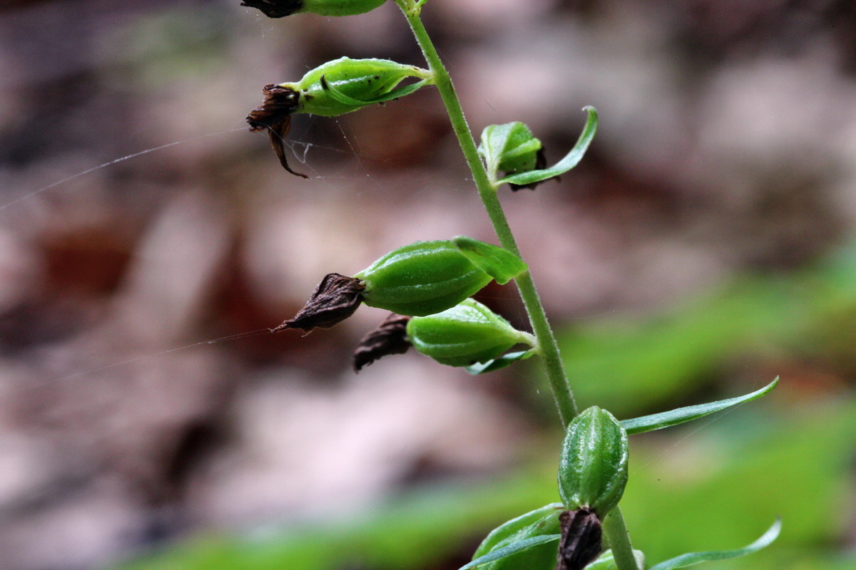 2013_08_10_00028408p_Bildgr��e �ndern