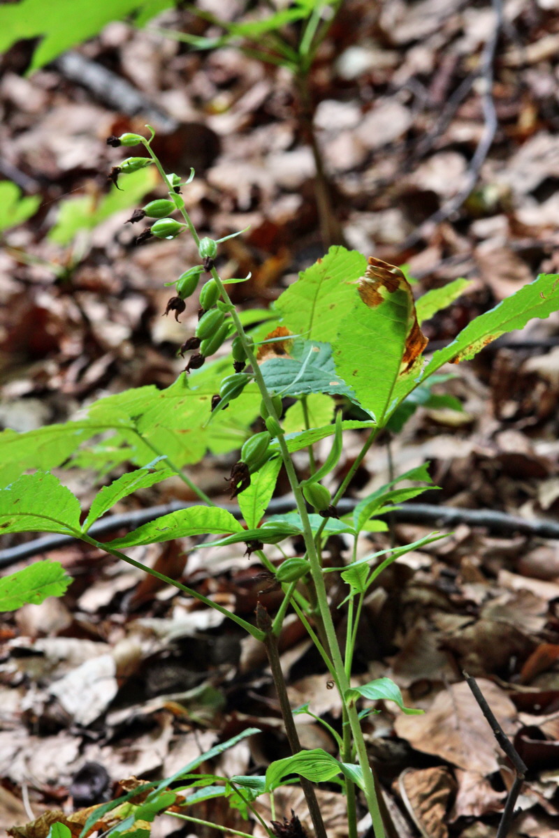 2013_08_10_00028415p_Bildgr��e �ndern