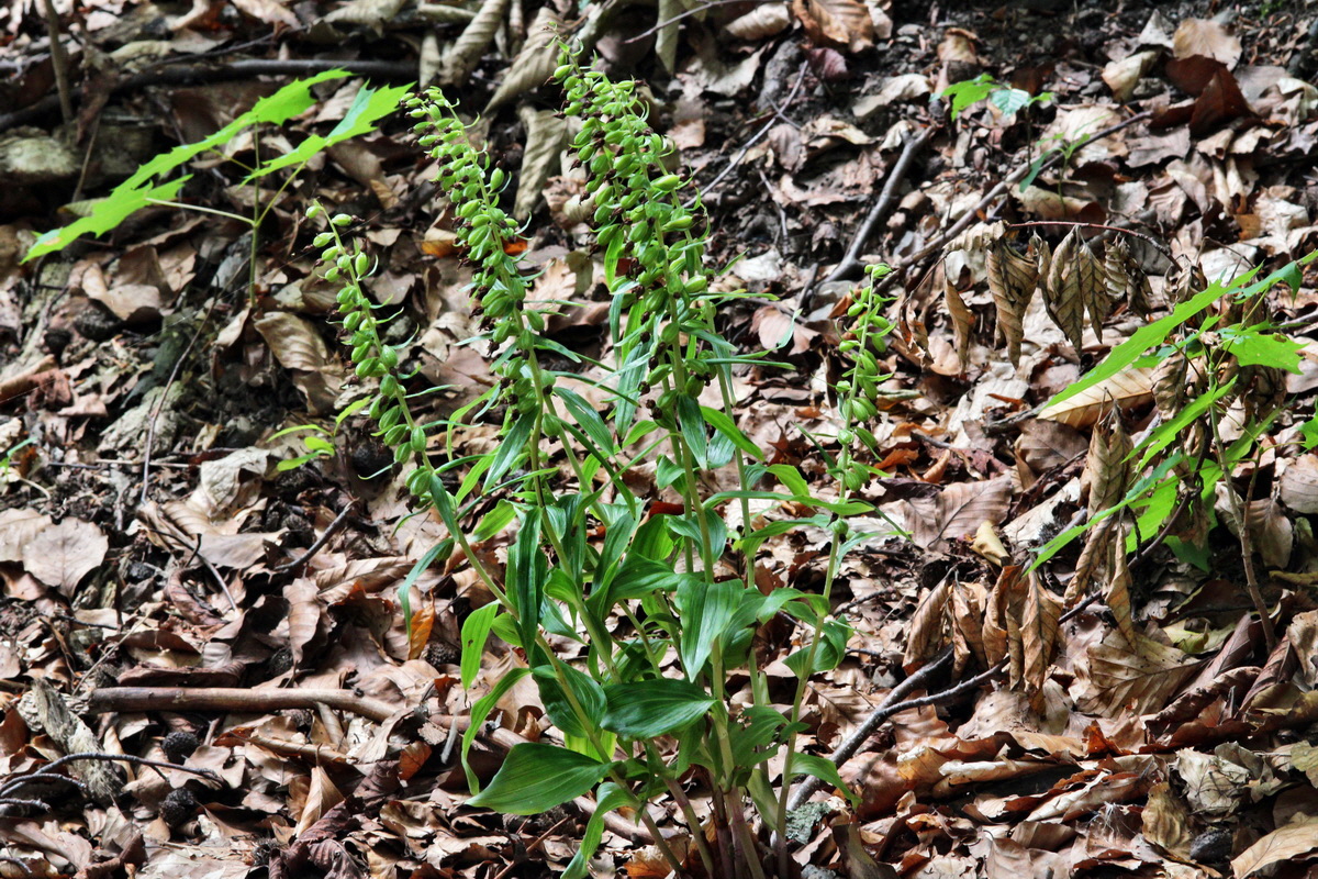 2013_08_10_00028418p_Bildgr��e �ndern