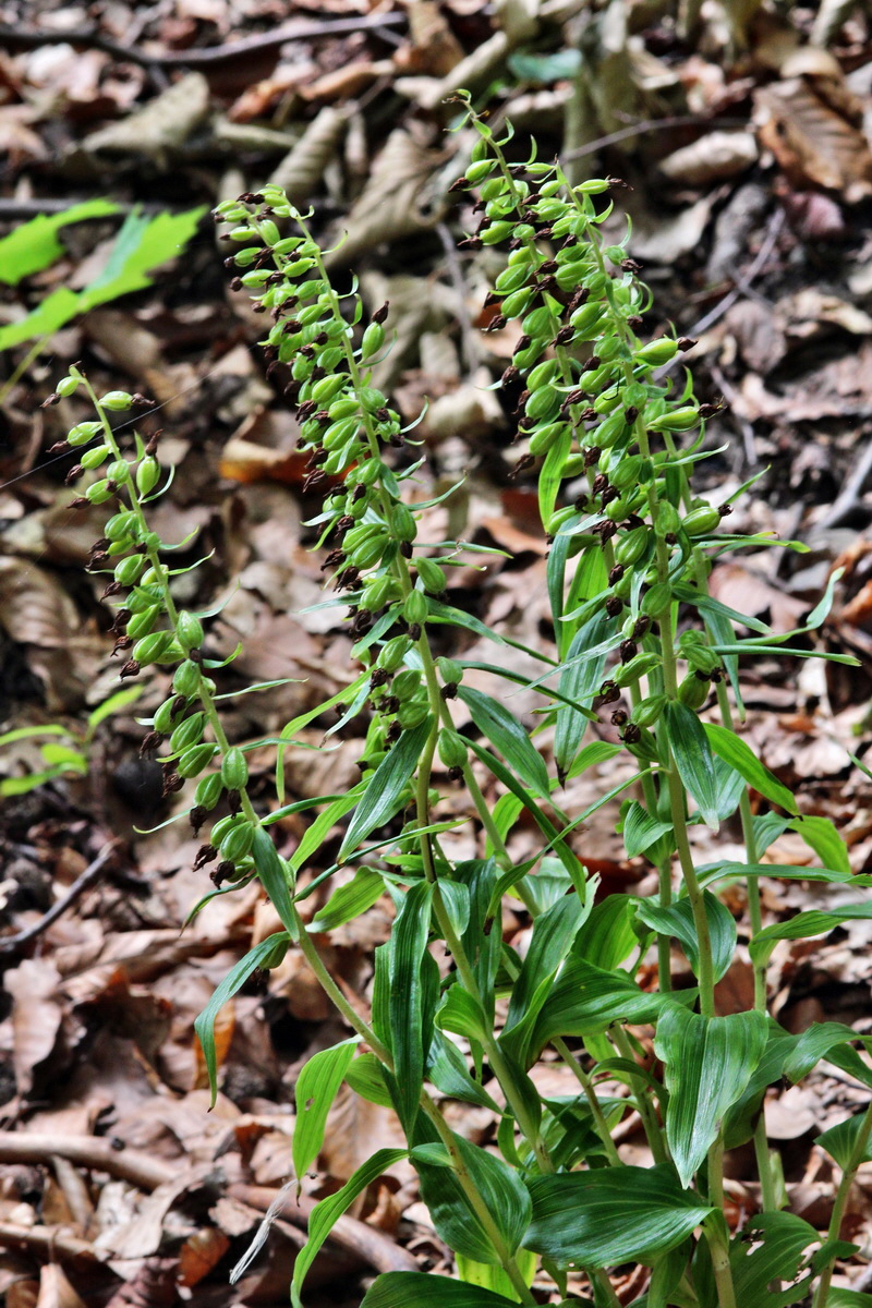 2013_08_10_00028421p_Bildgr��e �ndern