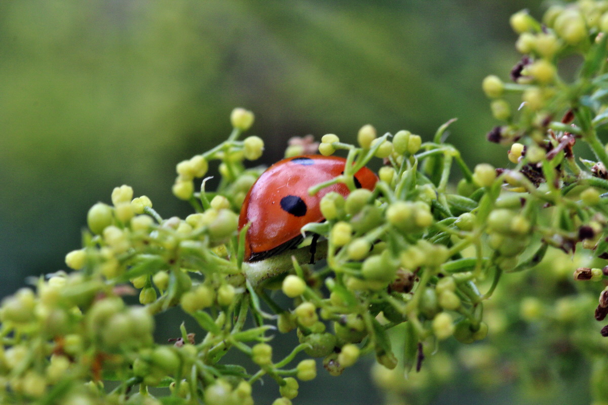 2013_08_11_00028431p_Bildgr��e �ndern