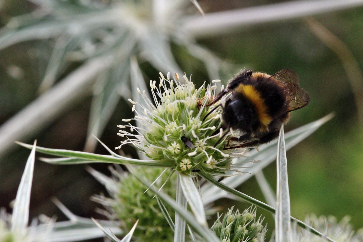 2013_08_11_00028436p_Bildgr��e �ndern