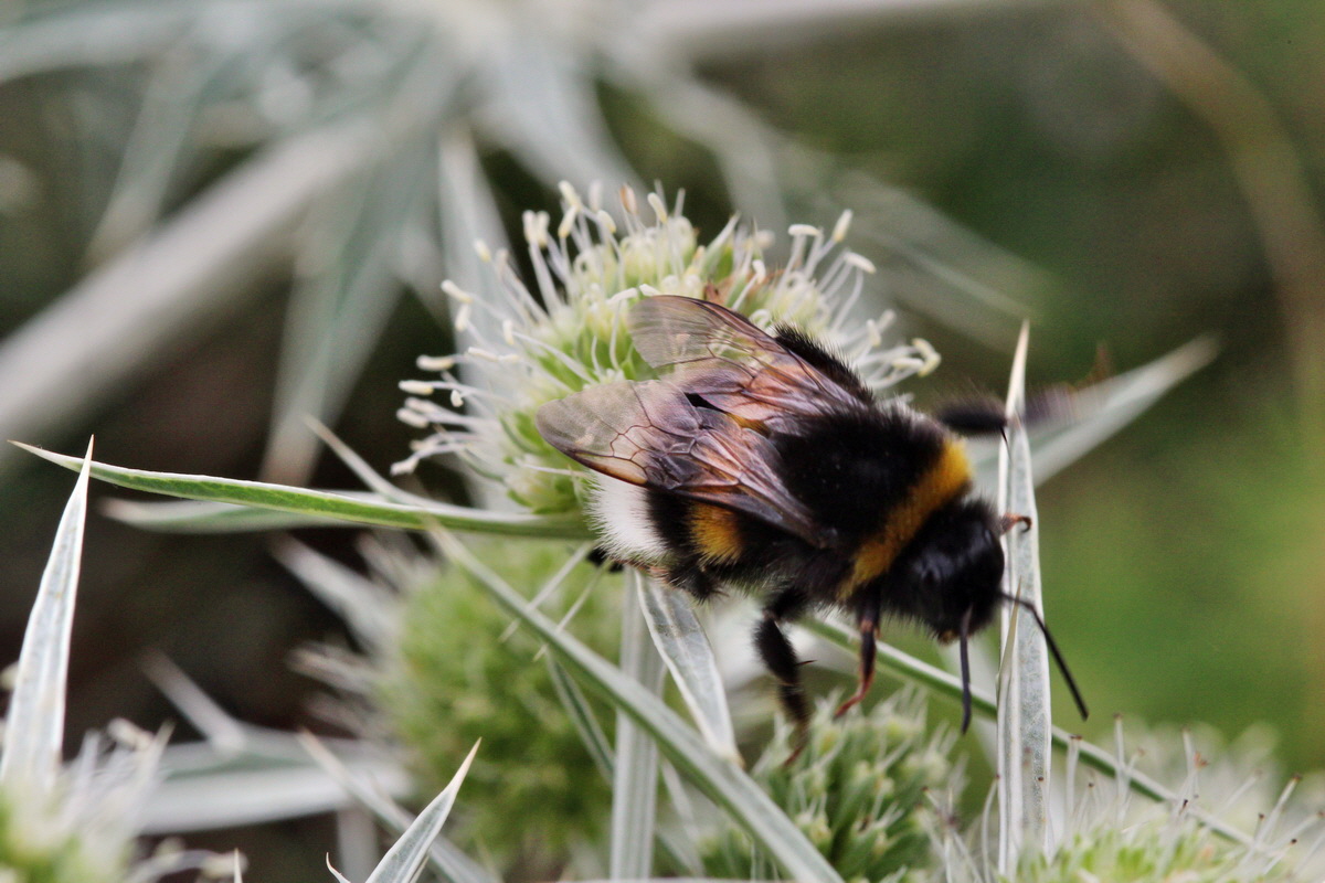 2013_08_11_00028455p_Bildgr��e �ndern