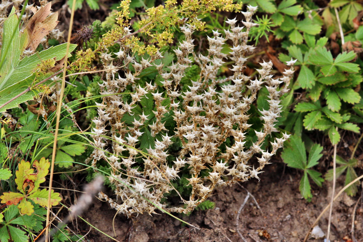 2013_08_11_00028484p_Bildgr��e �ndern