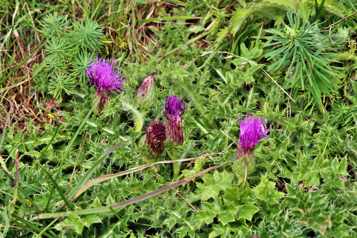 2013_08_11_00028498p_Bildgr��e �ndern