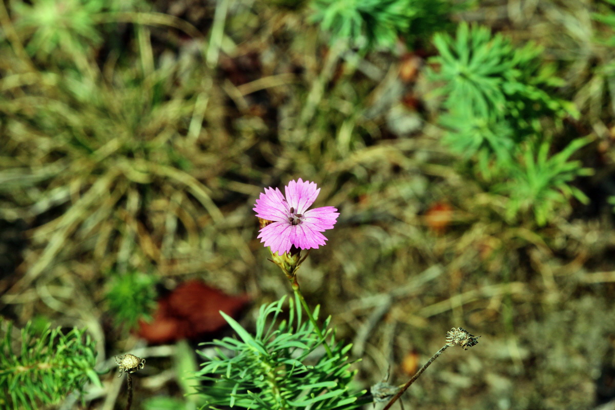 2013_08_11_00028499p_Bildgr��e �ndern