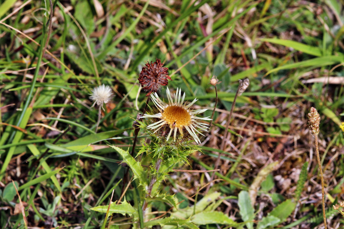 2013_08_11_00028502p_Bildgr��e �ndern