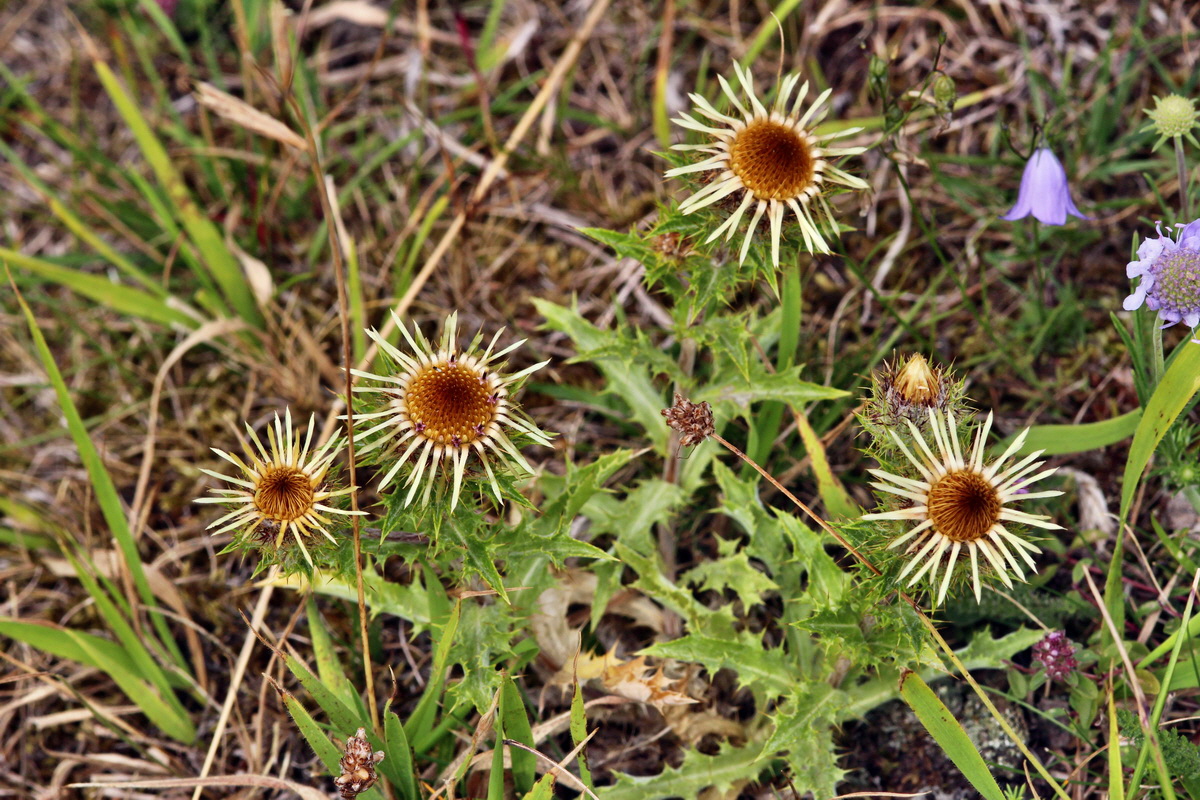 2013_08_11_00028507p_Bildgr��e �ndern