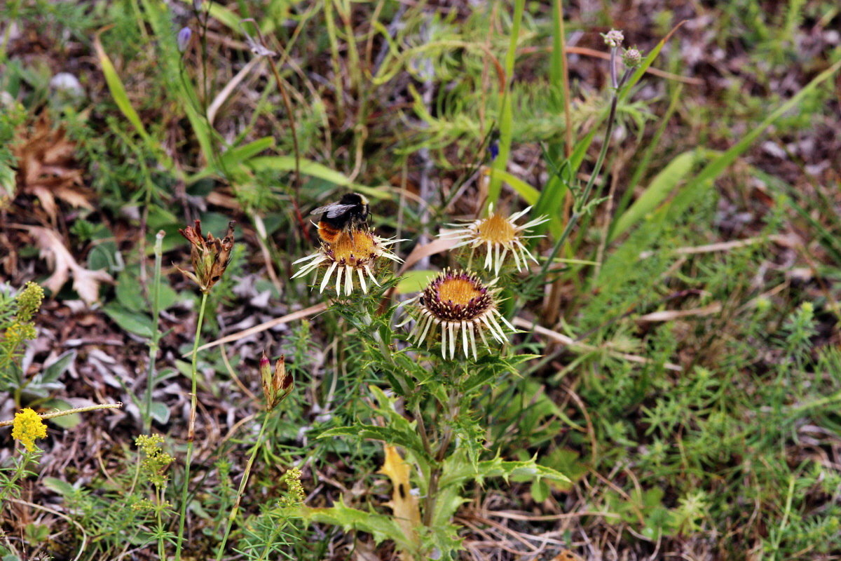 2013_08_11_00028516p_Bildgr��e �ndern