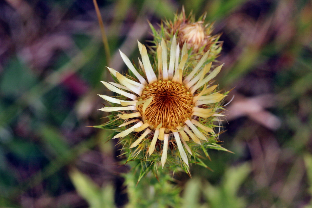 2013_08_11_00028522p_Bildgr��e �ndern