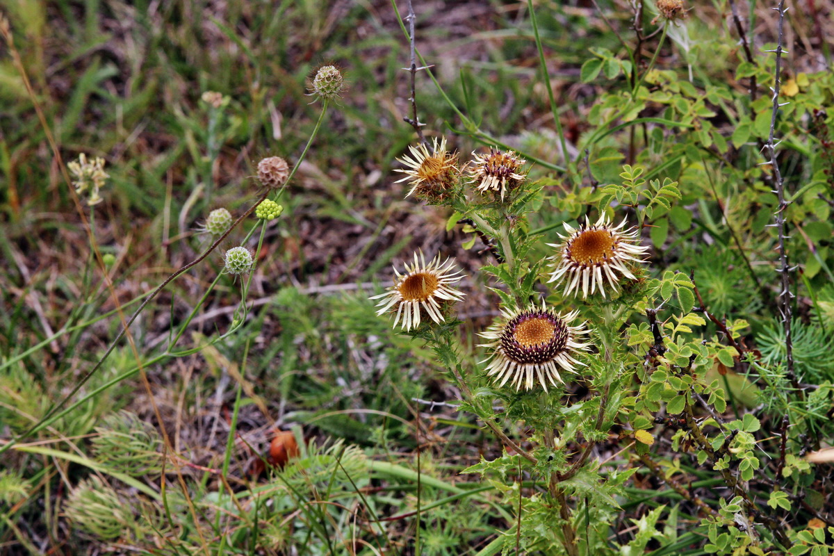 2013_08_11_00028527p_Bildgr��e �ndern