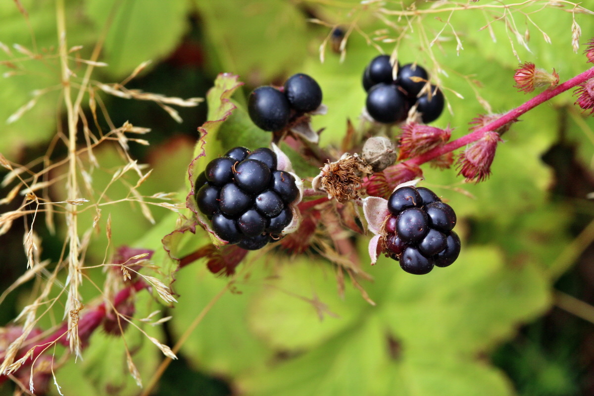 2013_08_11_00028584p_Bildgr��e �ndern