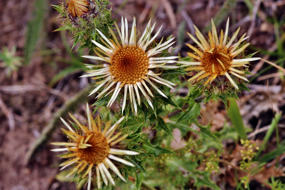 2013_08_11_00028588p_Bildgr��e �ndern