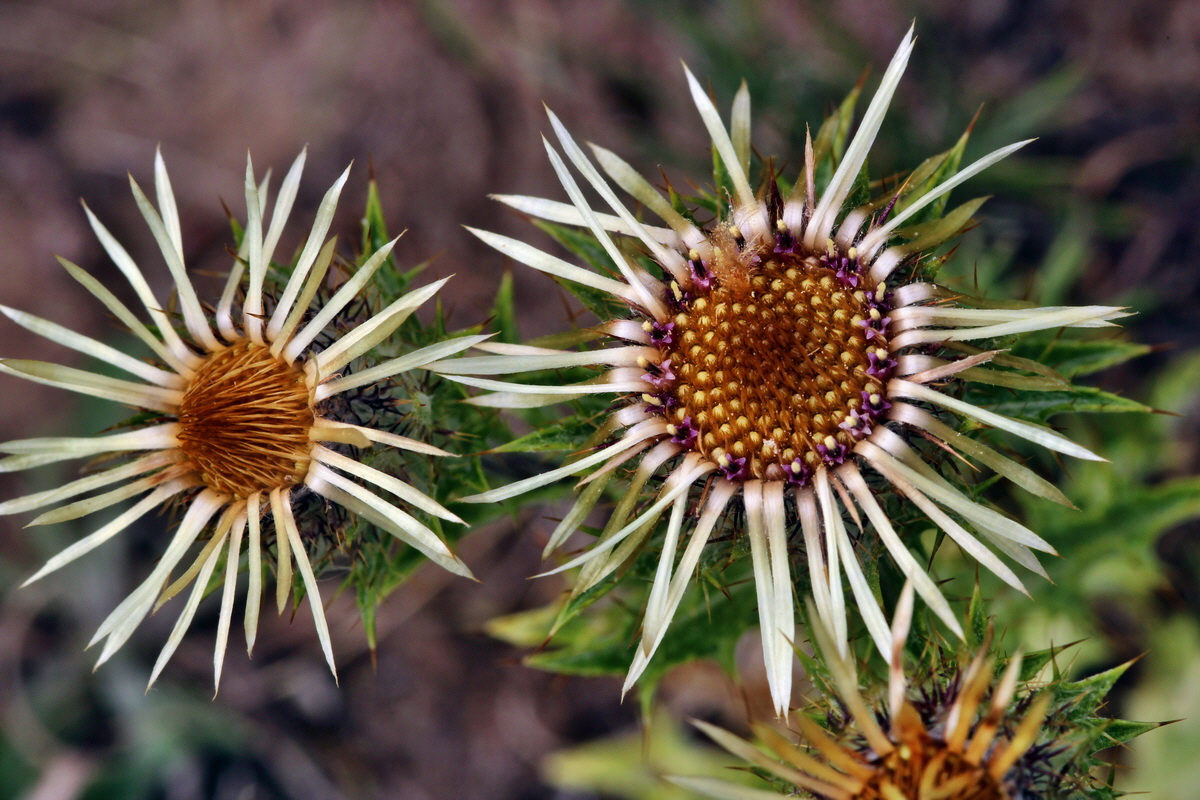 2013_08_11_00028591p_Bildgr��e �ndern