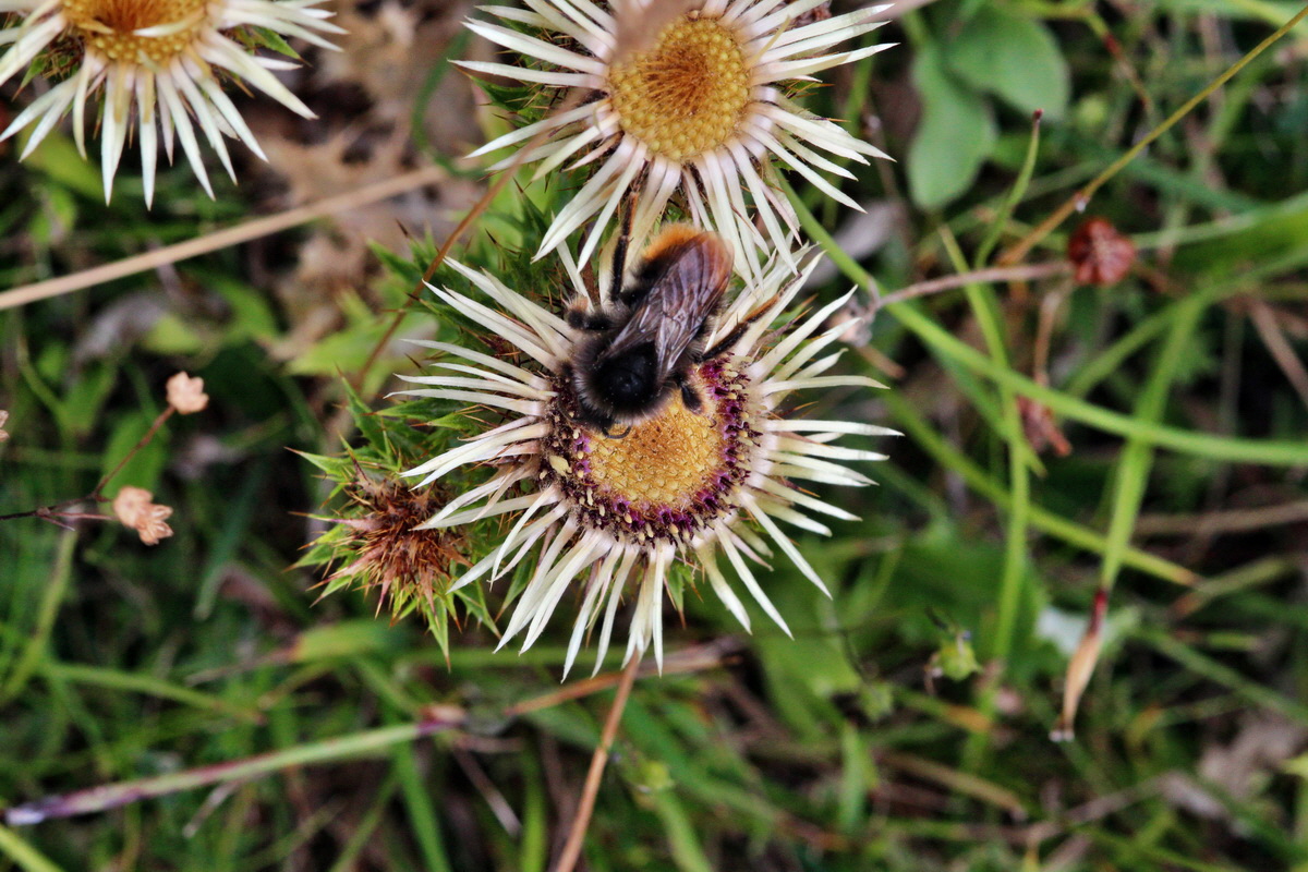 2013_08_11_00028612p_Bildgr��e �ndern