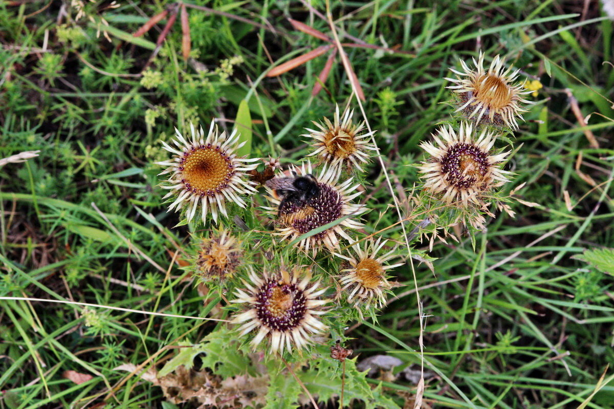 2013_08_11_00028630p_Bildgr��e �ndern