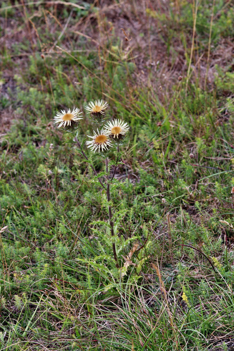 2013_08_11_00028634p_Bildgr��e �ndern