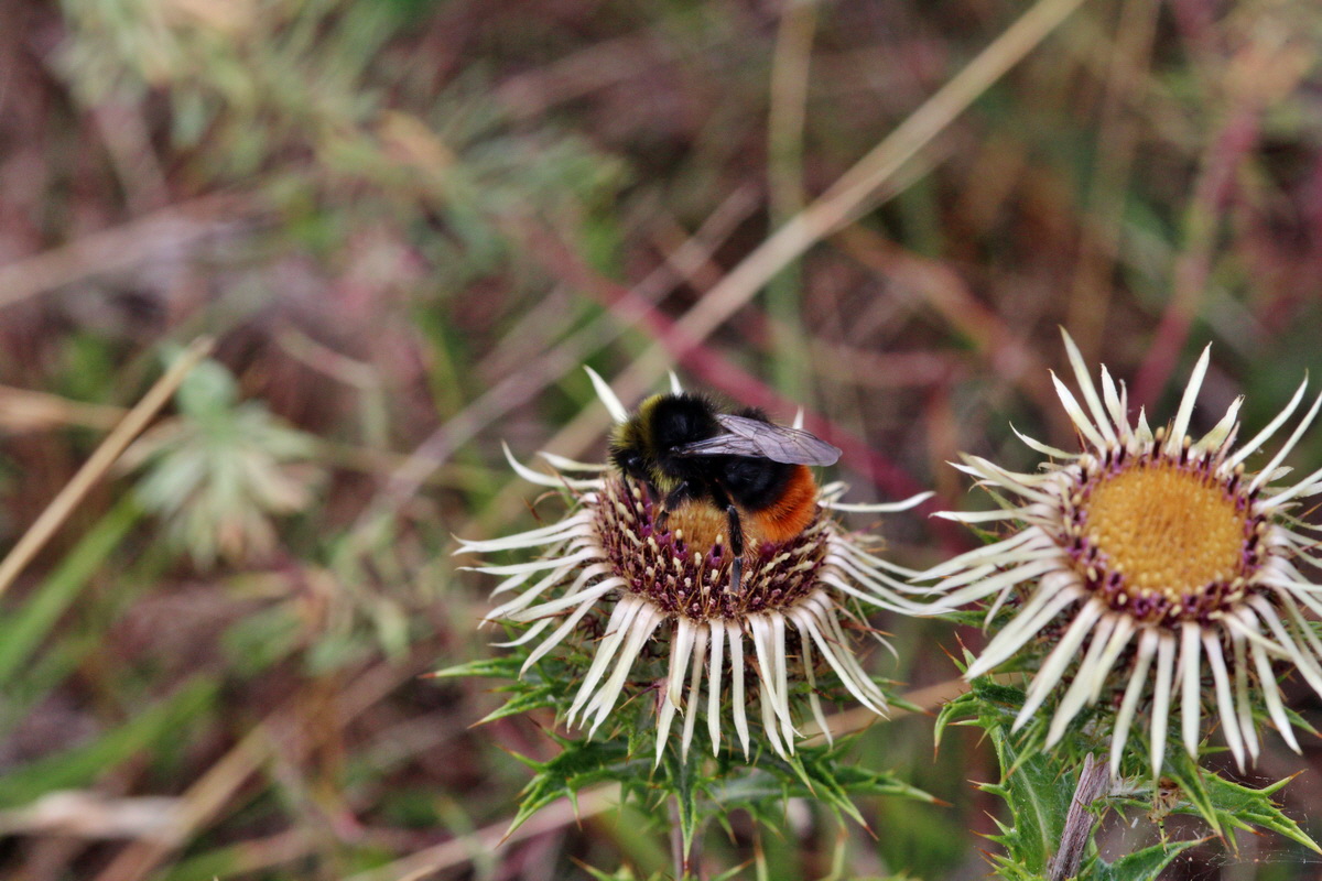 2013_08_11_00028638p_Bildgr��e �ndern