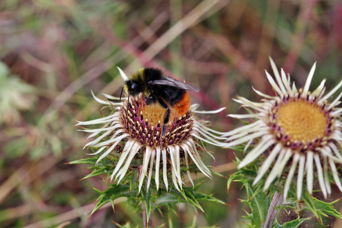 2013_08_11_00028641p_Bildgr��e �ndern