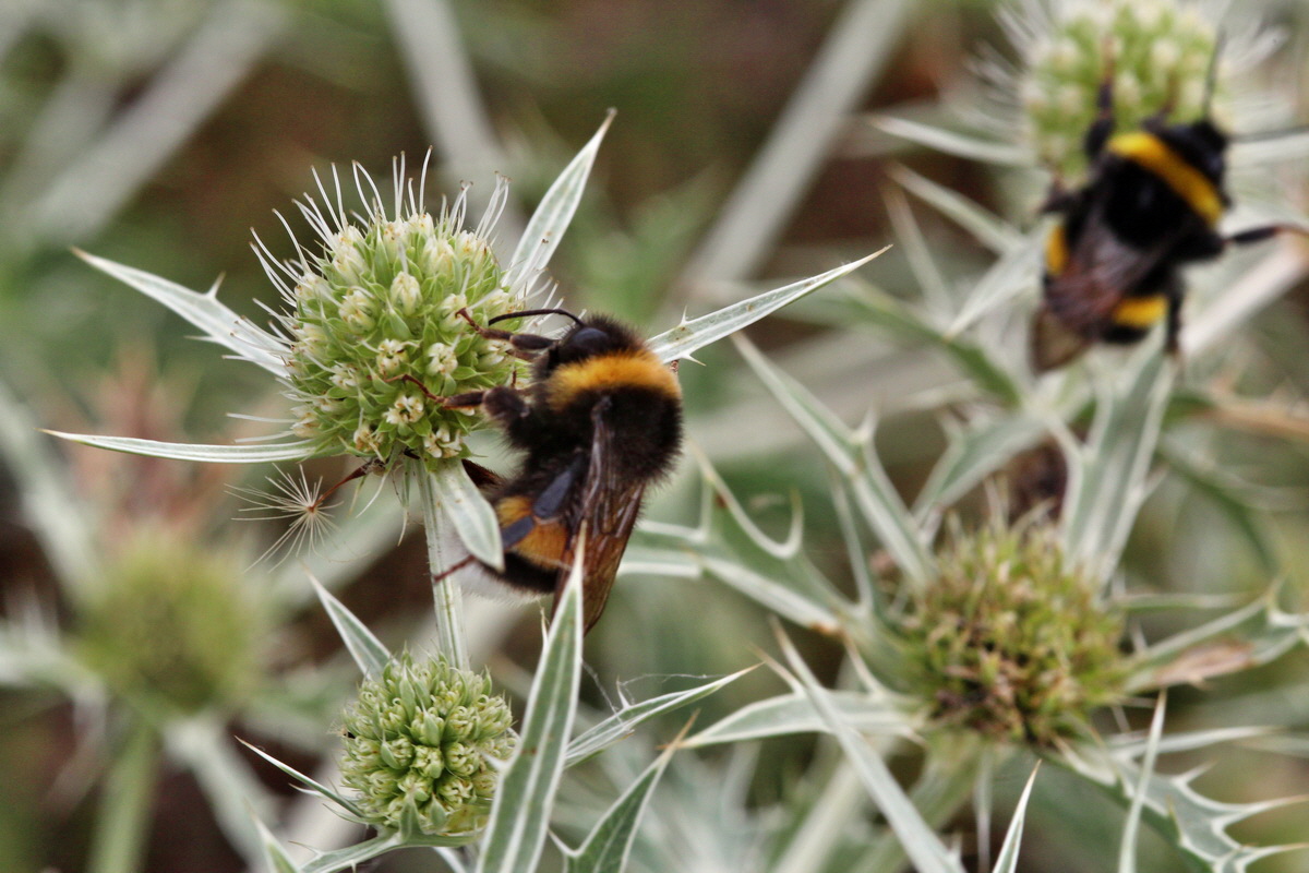 2013_08_11_00028658p_Bildgr��e �ndern