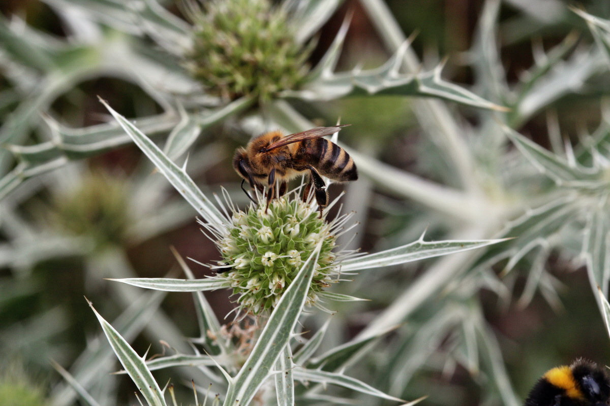 2013_08_11_00028666p_Bildgr��e �ndern