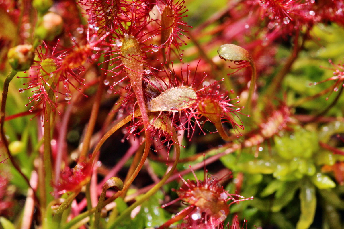 2013_08_12_00028681p_Bildgr��e �ndern