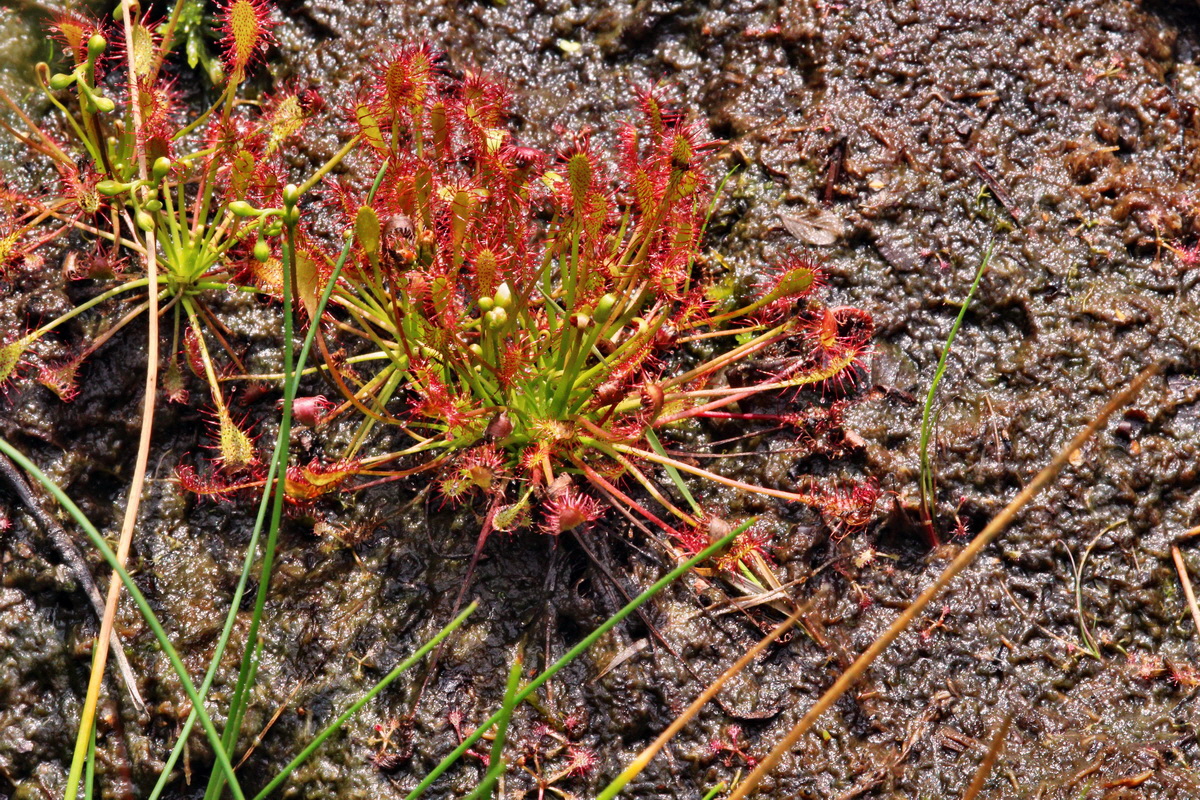 2013_08_12_00028689p_Bildgr��e �ndern