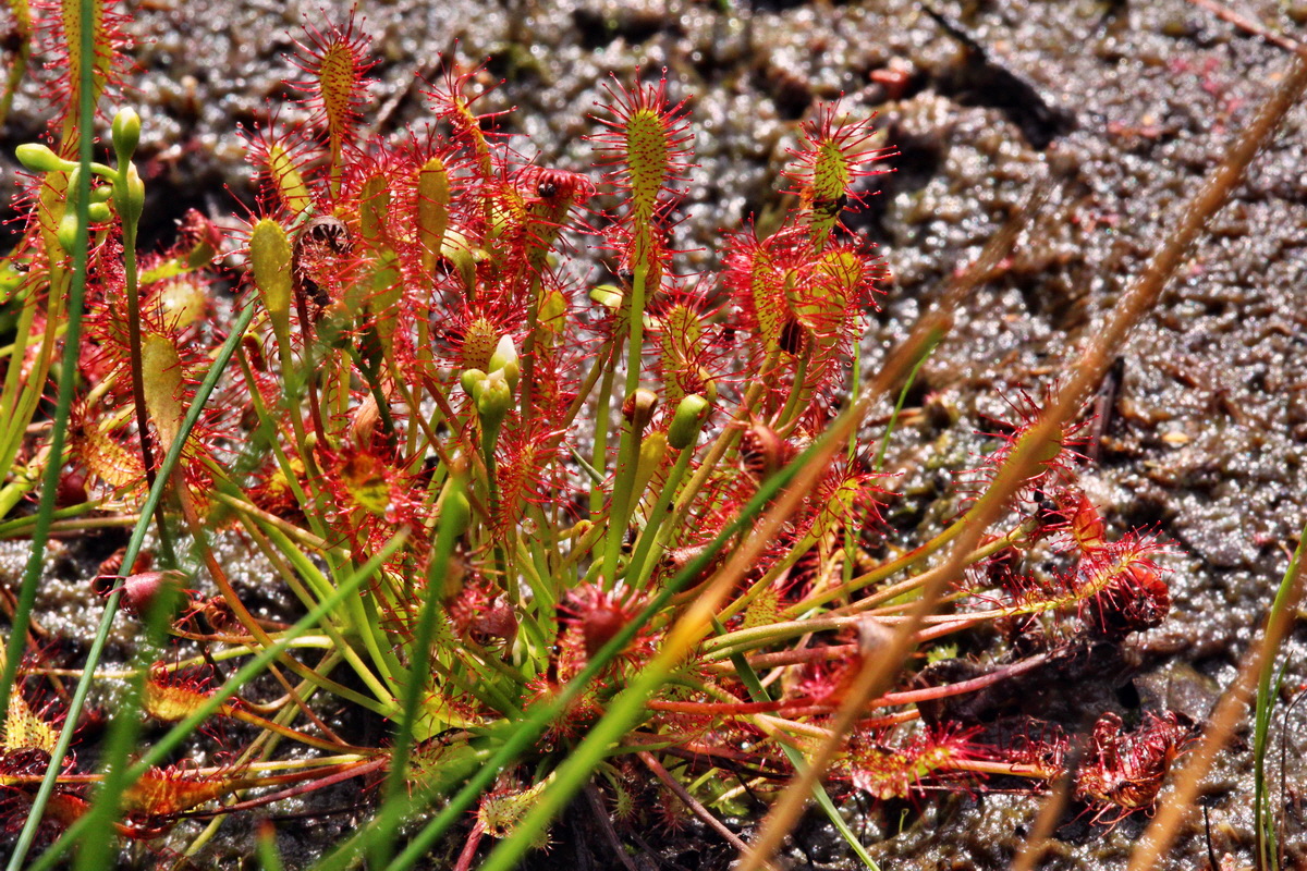 2013_08_12_00028690p_Bildgr��e �ndern