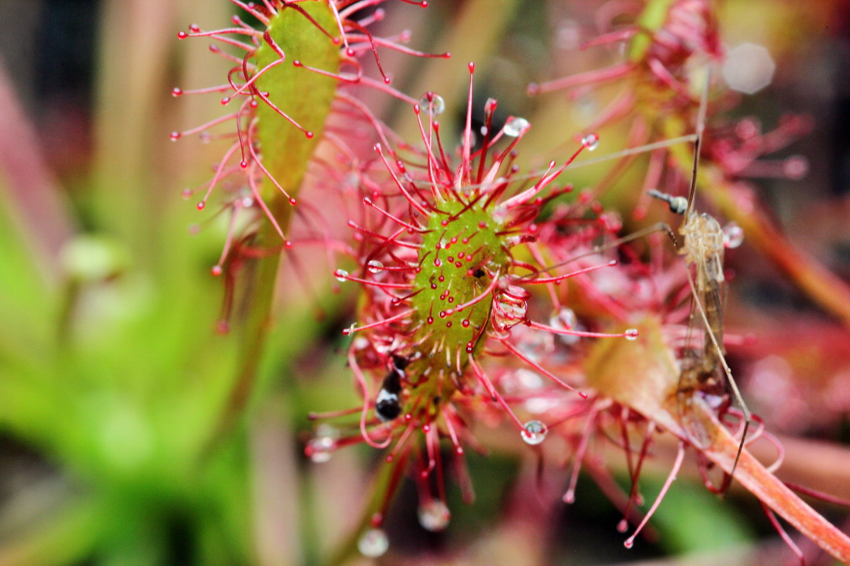 2013_08_12_00028698p_Bildgr��e �ndern