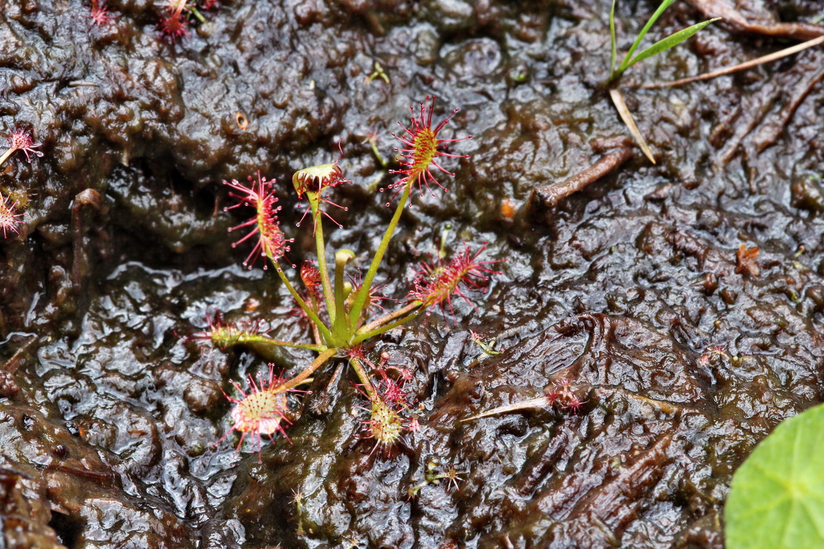 2013_08_12_00028702p_Bildgr��e �ndern