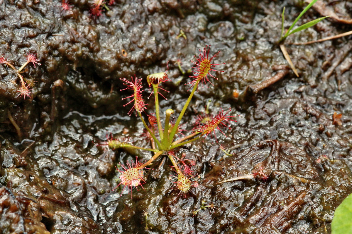 2013_08_12_00028707p_Bildgr��e �ndern