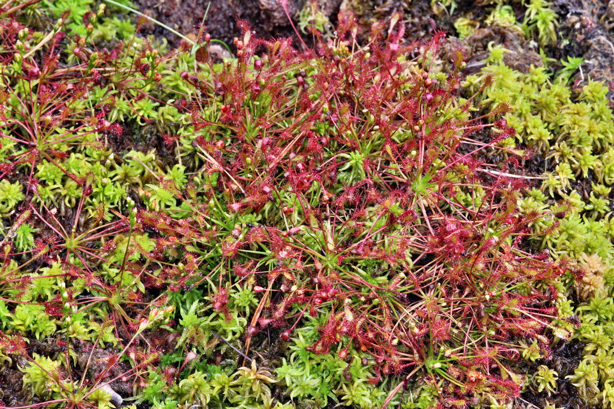 2013_08_12_00028726p_Bildgr��e �ndern