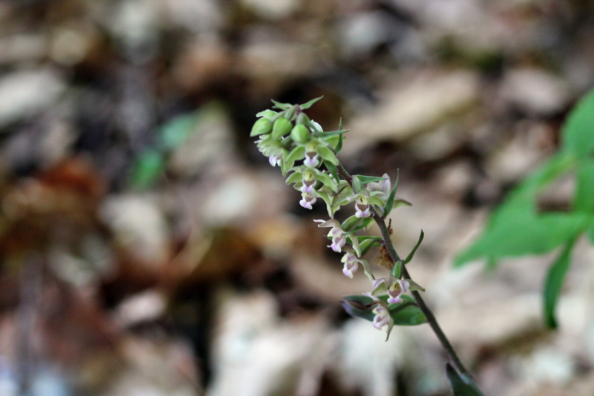 2013_08_16_00028949p_Bildgr��e �ndern